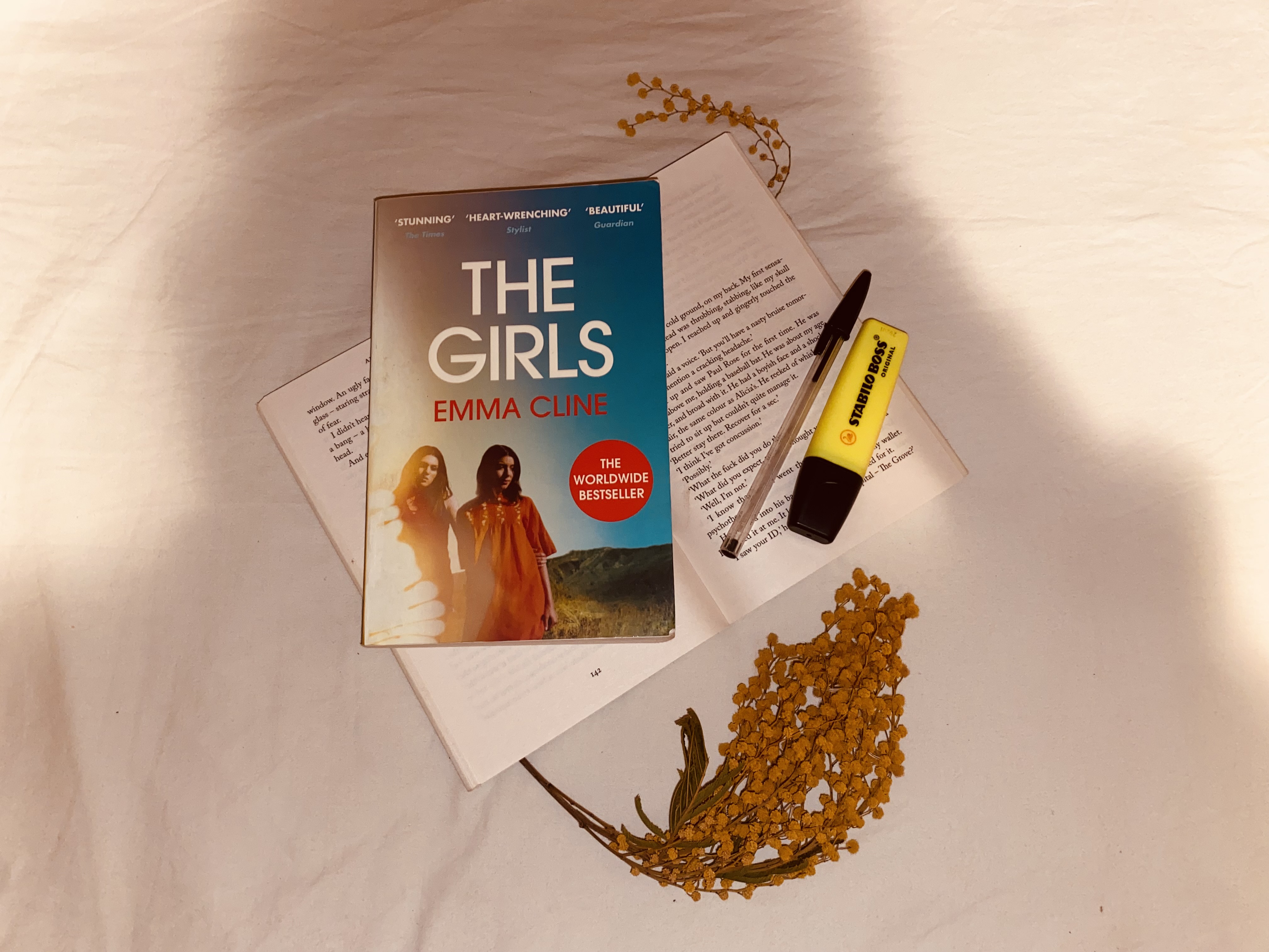 The Girls by Emma Cline: a novel between fiction and real life crime